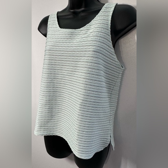 Express | NWOT Wide Sheer Sleeveless Blouse. Light horizontal stripes - Picture 2 of 16